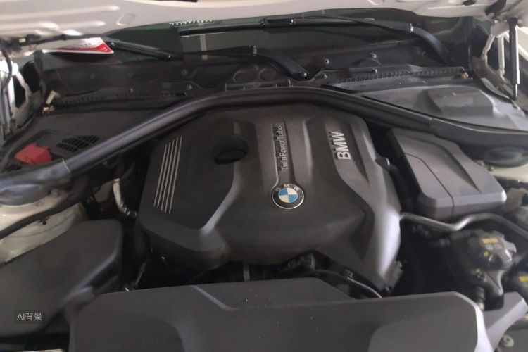 BMW 3 Series 2017 car image #22