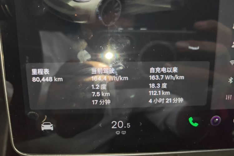 Tesla Model Y 2021 car image #12