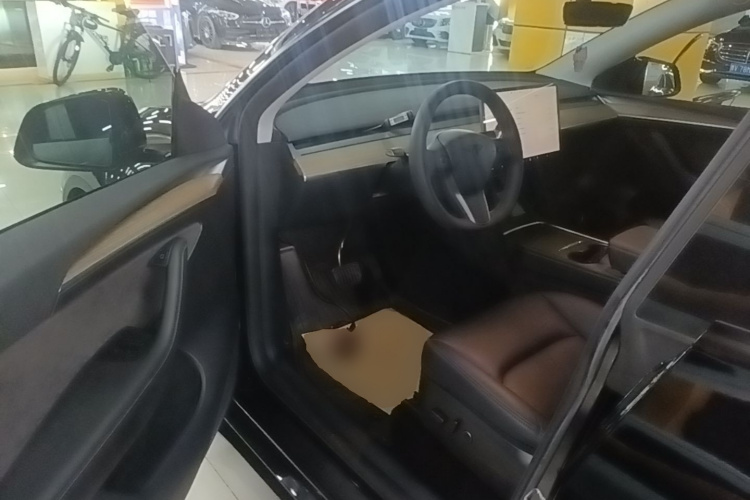 Tesla Model Y 2022 car image #16