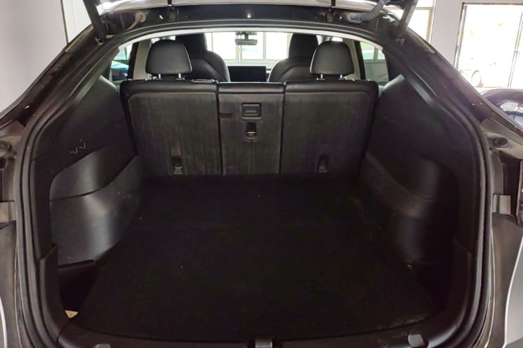 Tesla Model Y 2023 #19 Tesla Model Y 2023 car image #19