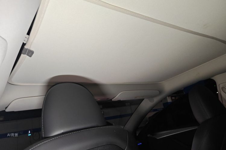 Tesla Model Y 2023 car image #20