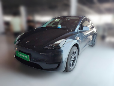 Tesla Model Y 2024 car image 
