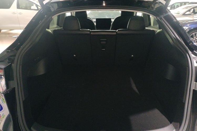 Tesla Model Y 2021 car image #19