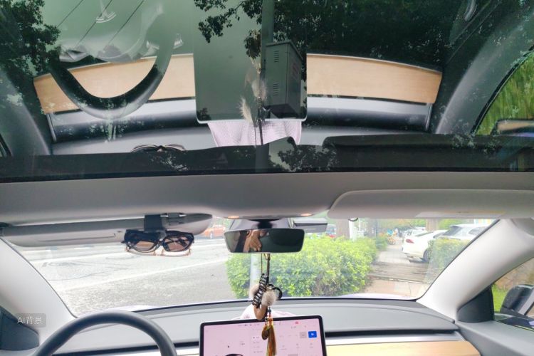 Tesla Model 3 2020 car image #20