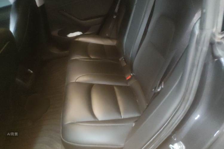 Tesla Model 3 2021 car image #19