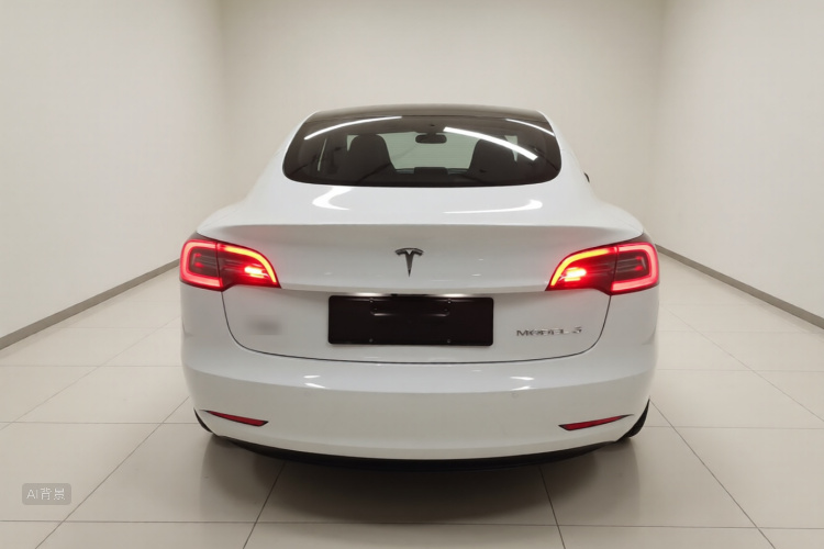 Tesla Model 3 2021 car image #6