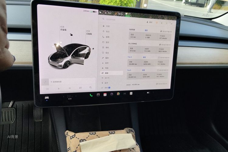 Tesla Model 3 2021 car image #15