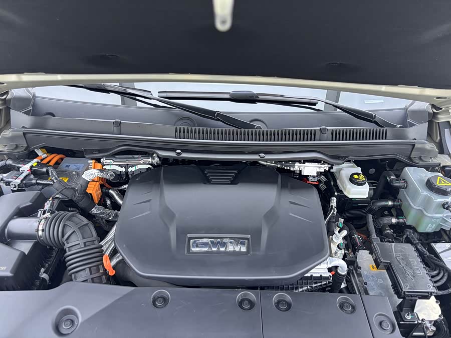 Tank 500 New Energy 2024 immagine di auto #28