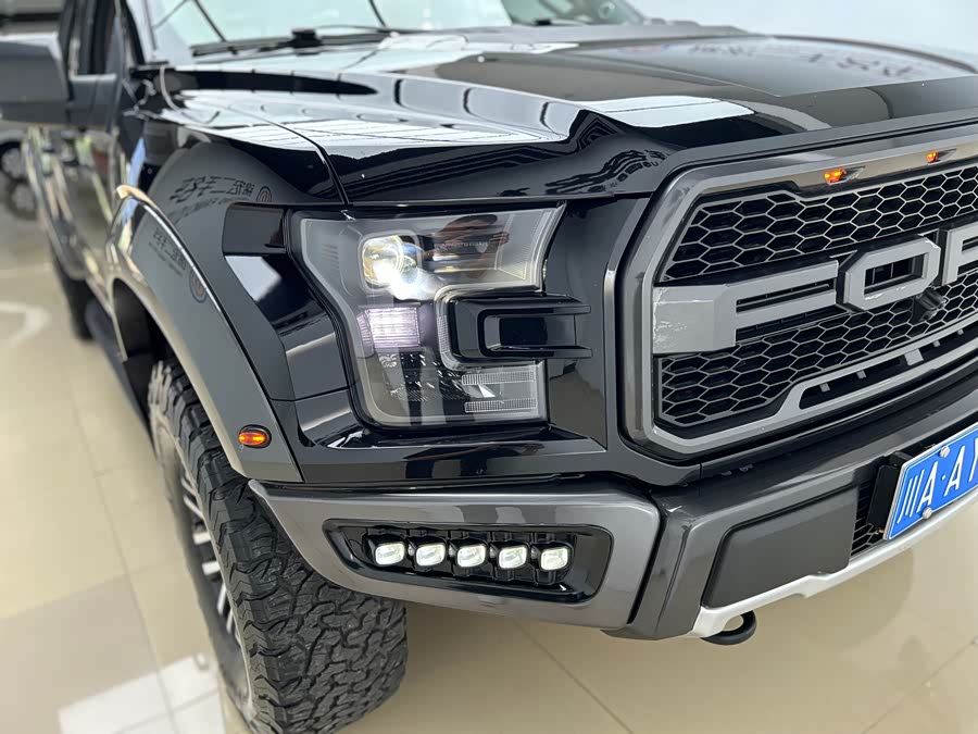 Ford F-150 Raptor 2019 car image #28