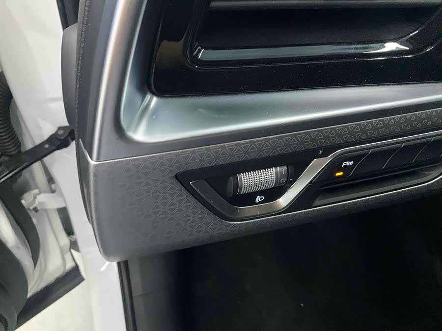 GEELY Tugella S 2022 car image #28