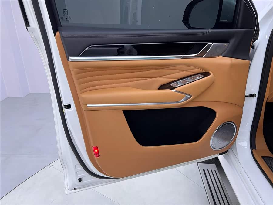 Tank 500 New Energy 2023 immagine di auto #28