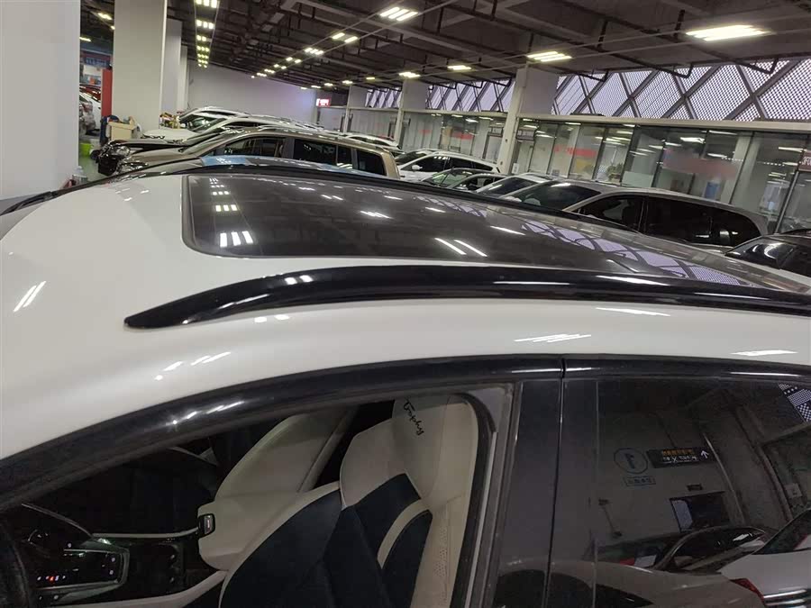 MG Pilot 2021 car image #28