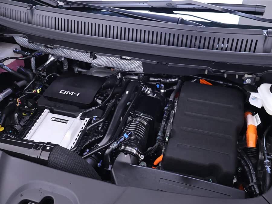 BYD Xia 2025 #28 BYD Xia 2025 immagine di auto #28