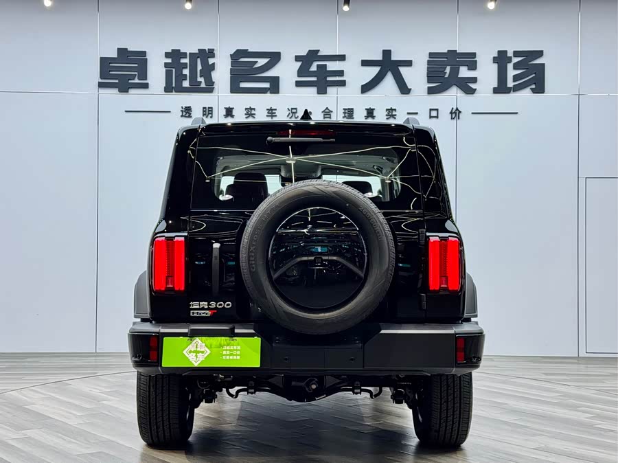 Tank 300 New Energy 2025 #28 Tank 300 New Energy 2025 immagine di auto #28