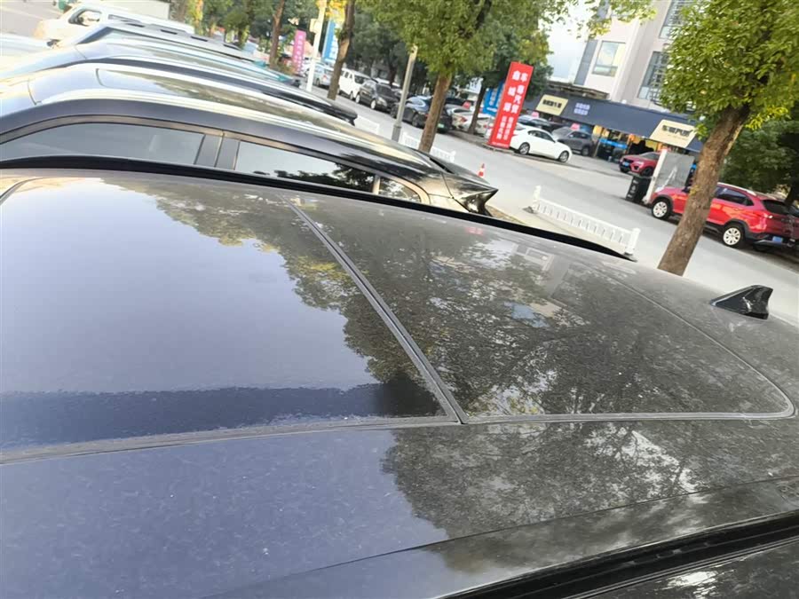 Exceed TX 2022 #28 Exceed TX 2022 car image #28