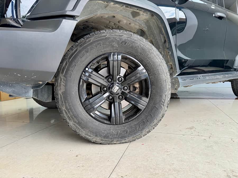 Tank 500 New Energy 2024 immagine di auto #28