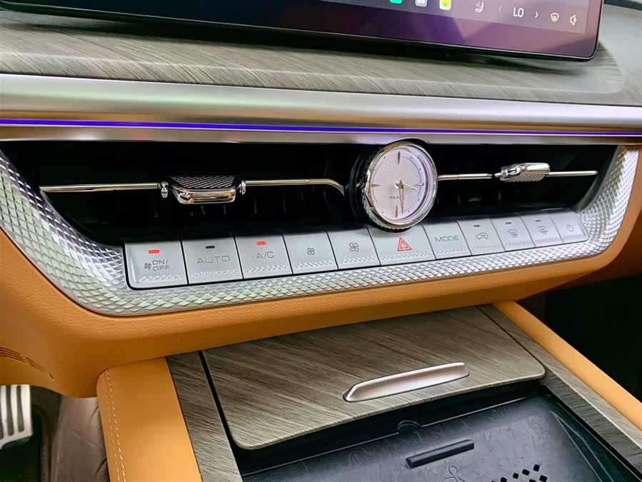 Tank 500 New Energy 2024 immagine di auto #28