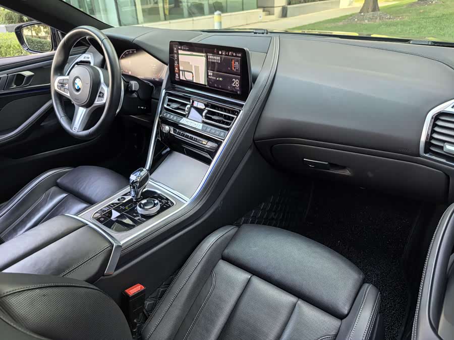BMW 8 Series 2023 car image #28