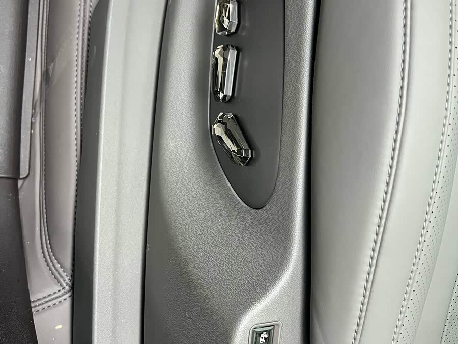 Denza N9 2025 car image #28