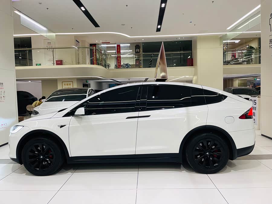 特斯拉 Model X 2021 汽车图片 #28