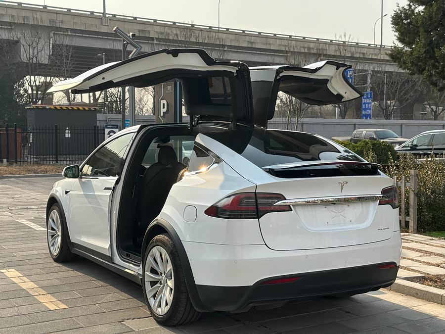 Tesla Model X 2020 #28 Tesla Model X 2020 car image #28