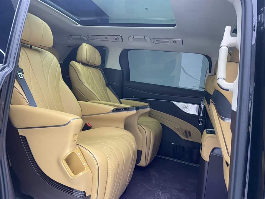 Denza D9 2024 car image #28