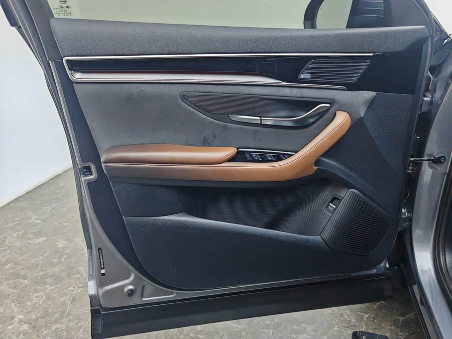 BYD Song Plus 2021 immagine di auto #28