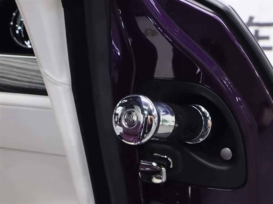 Rolls-Royce Spectre 2023 immagine di auto #28