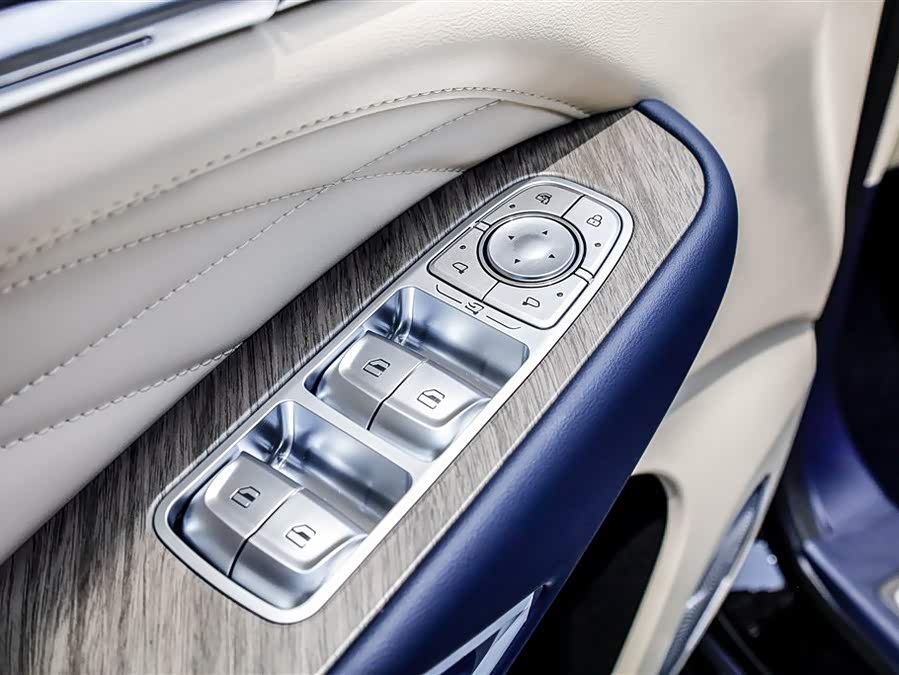 Tank 500 New Energy 2025 #28 Tank 500 New Energy 2025 car image #28