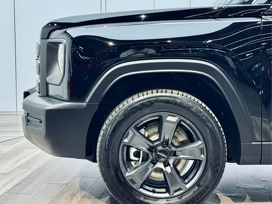 Haval Raptor New Energy 2023 car image #28