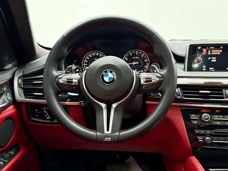BMW X6 2015 immagine di auto #28