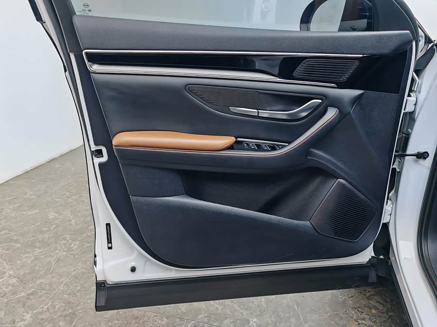 BYD Song Plus 2020 #28 BYD Song Plus 2020 car image #28