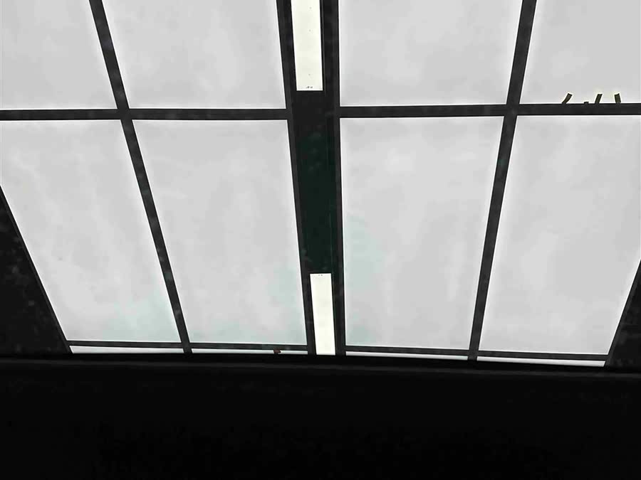 GAC Trumpchi Xiangwang S7 2025 #28 GAC Trumpchi Xiangwang S7 2025 car image #28