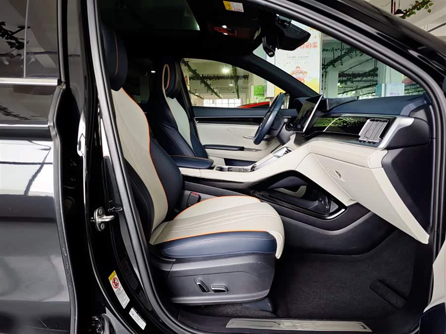 BYD Song Plus New Energy 2023 car image #28