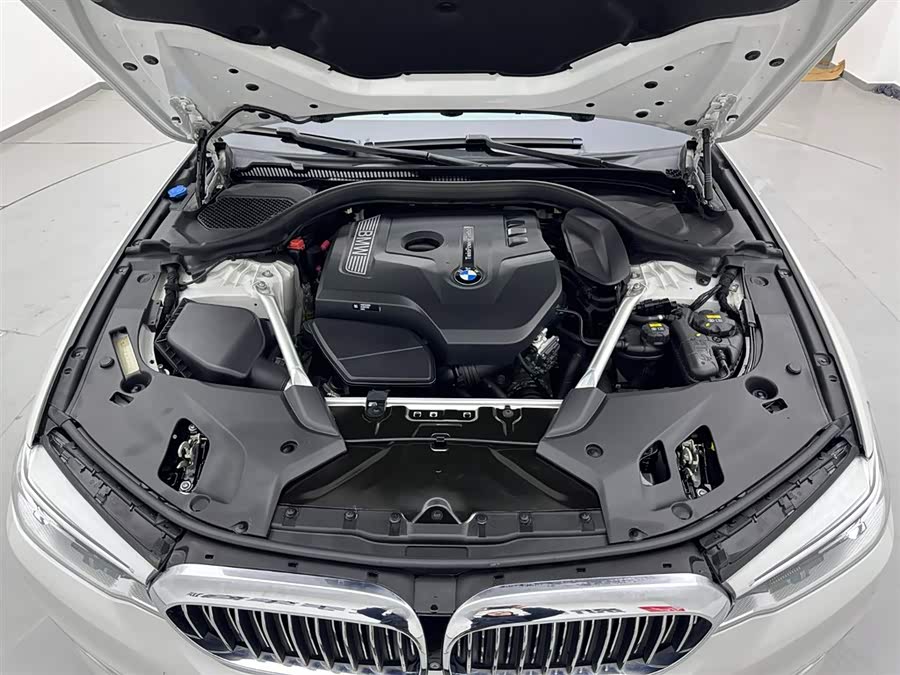 BMW 5 Series 2020 car image #28