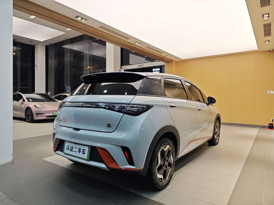 BYD Dolphin 2022 car image #28