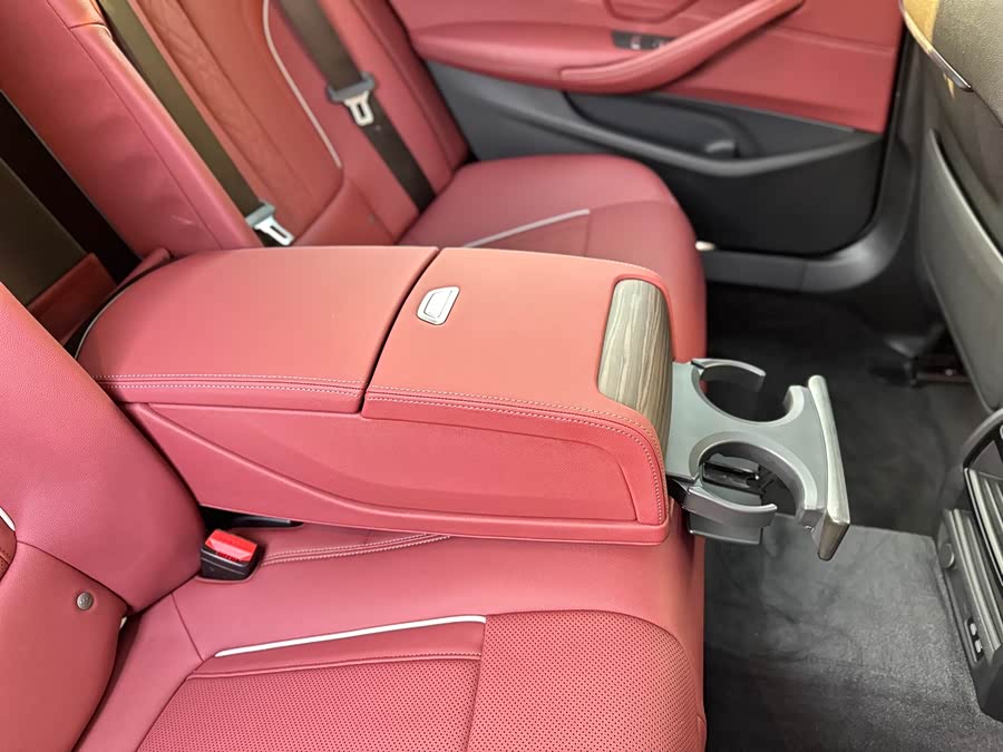 BMW 5 Series New Energy 2020 car image #28