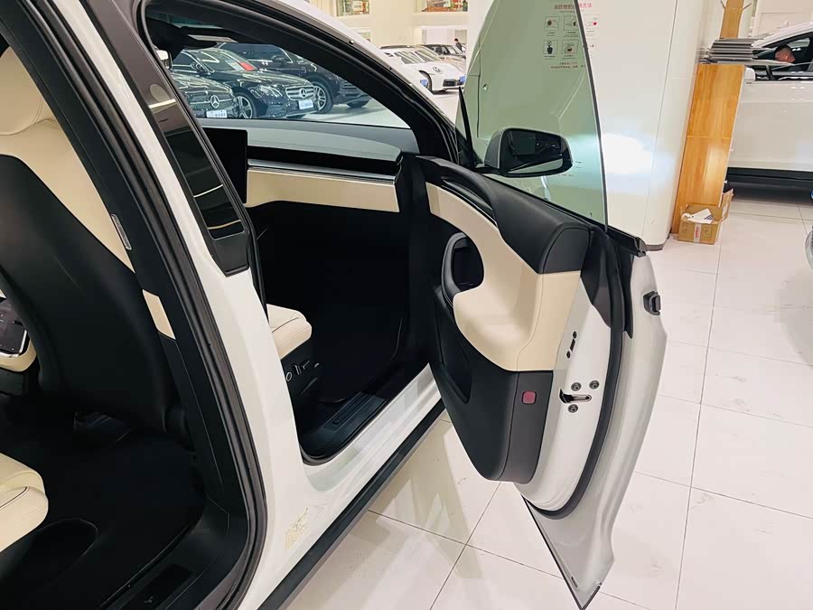 Tesla Model X 2023 car image #28