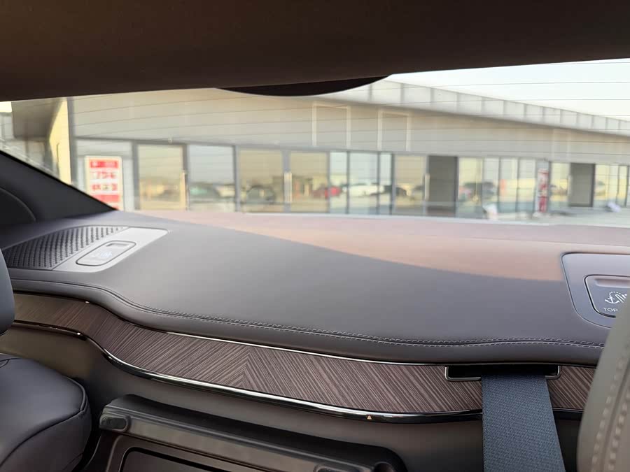 Denza Z9 2024 immagine di auto #28