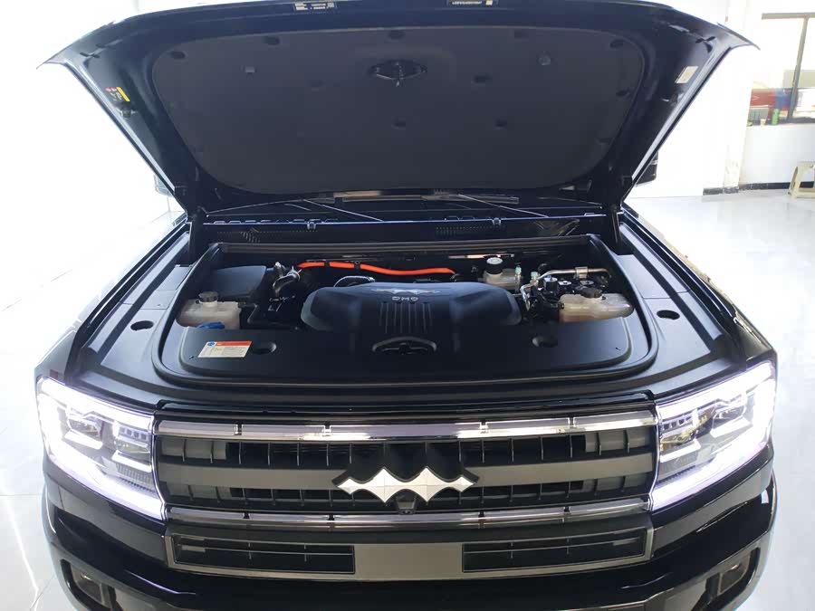 FangChengBao Leopard 5 2025 car image #28