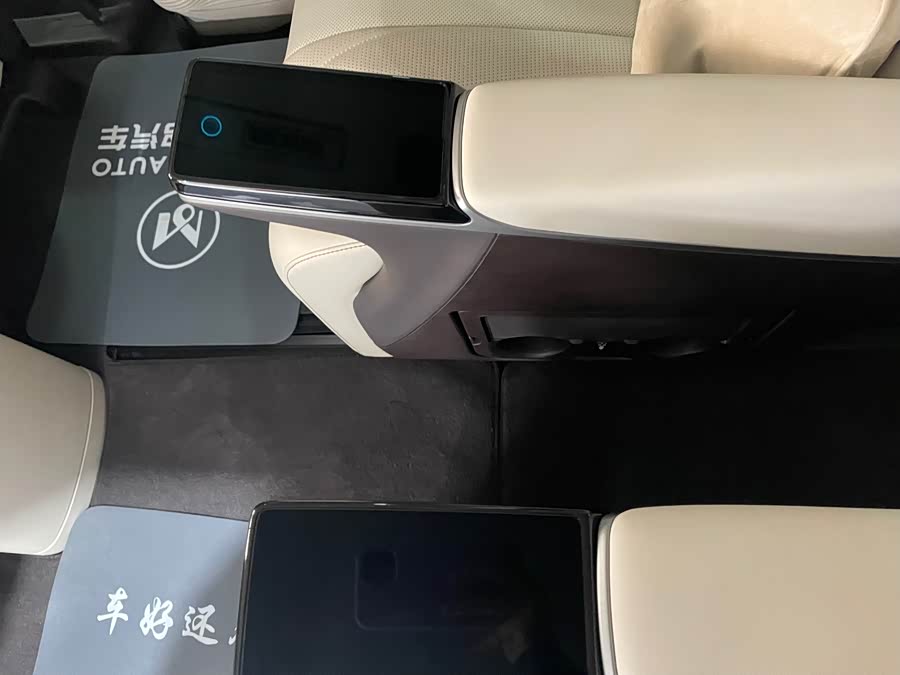 Denza D9 2025 imagen de coche #28