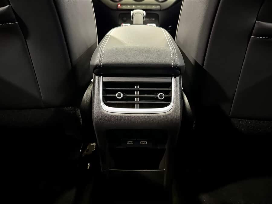 Tank 300 2024 car image #28