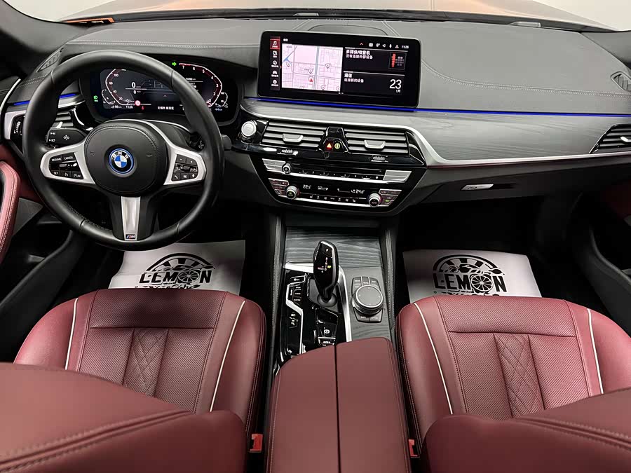 BMW 5 Series New Energy 2021 car image #28