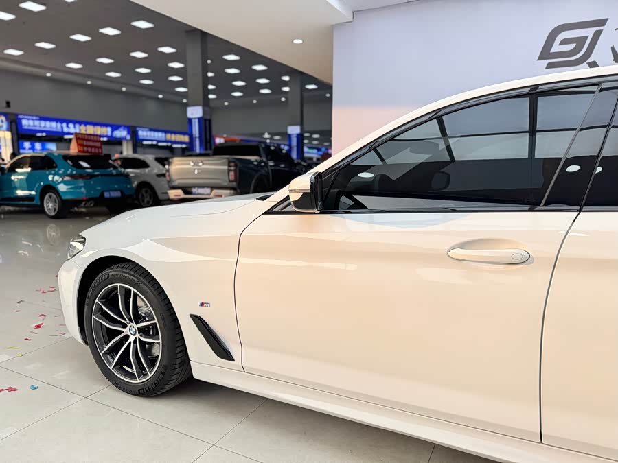 BMW 5 Series (Imported) 2021 car image #28