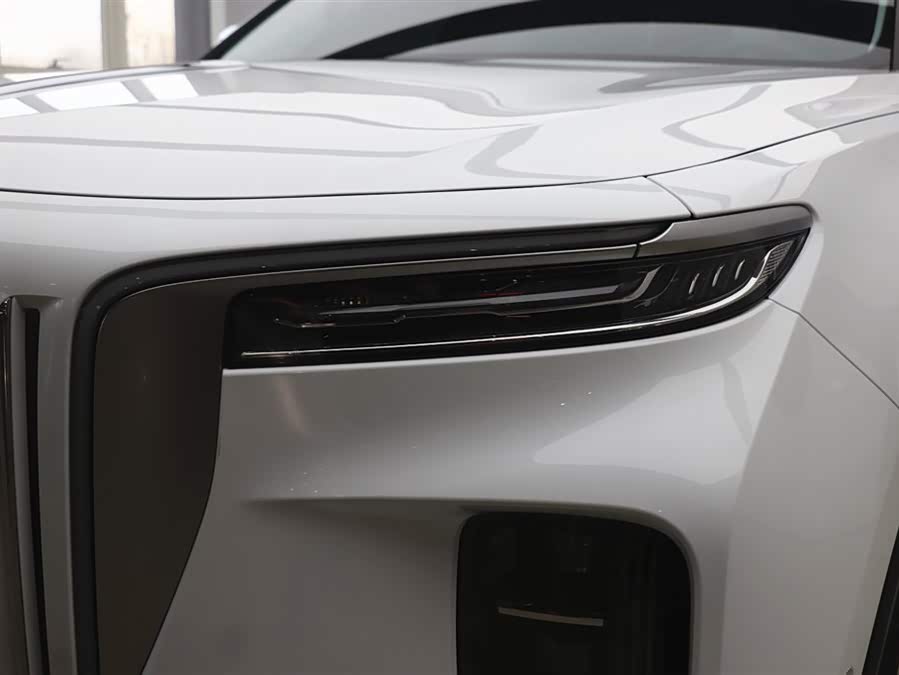 HongQi E-HS9 2023 изображение автомобиля #28