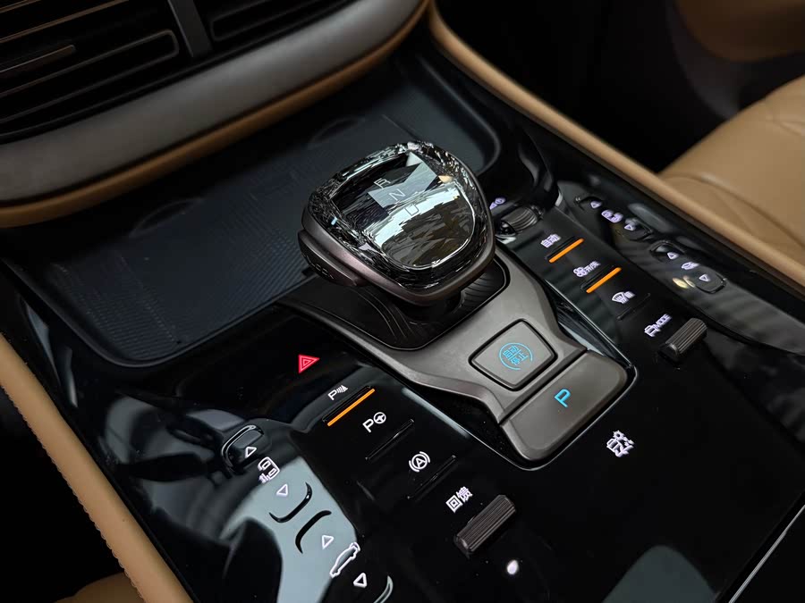 Denza D9 2023 car image #28