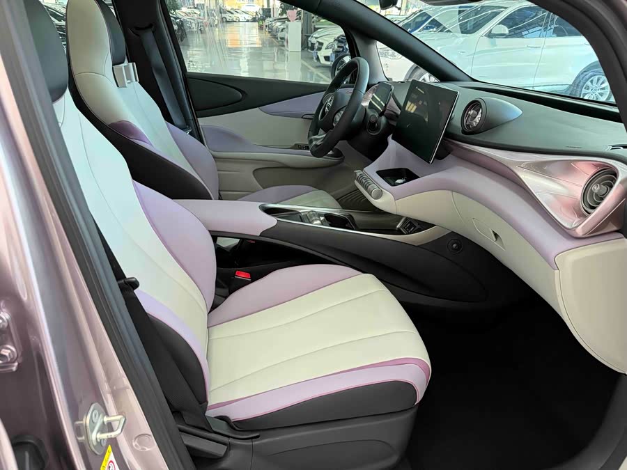 BYD Dolphin 2022 #28 BYD Dolphin 2022 car image #28