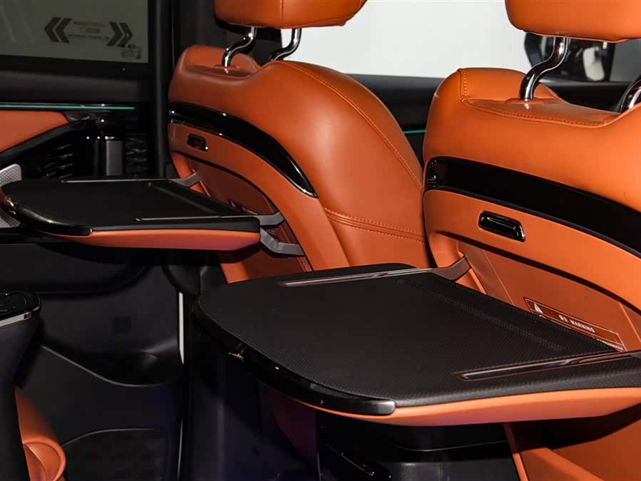 GAC Trumpchi E9 2024 car image #28