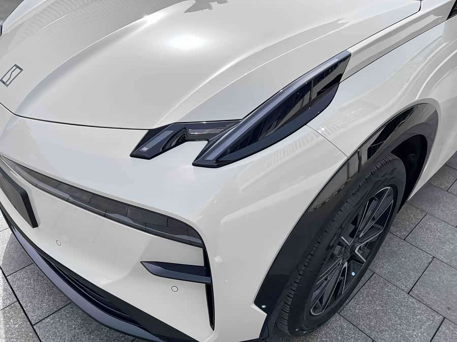 极氪 极氪X 2024 汽车图片 #28