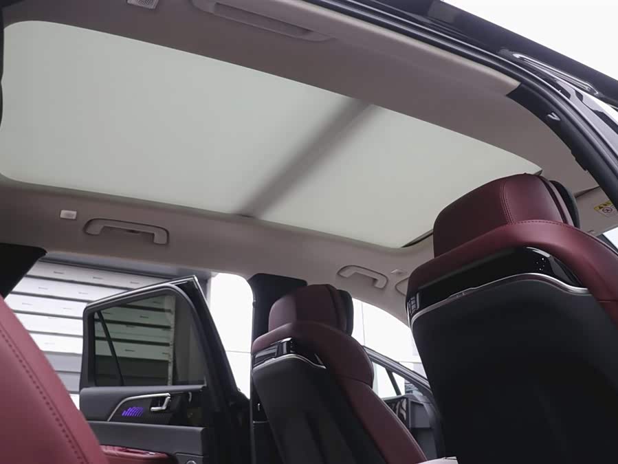 HongQi E-HS9 2023 immagine di auto #28